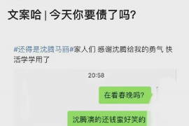 淮南为什么选择专业追讨公司来处理您的债务纠纷？